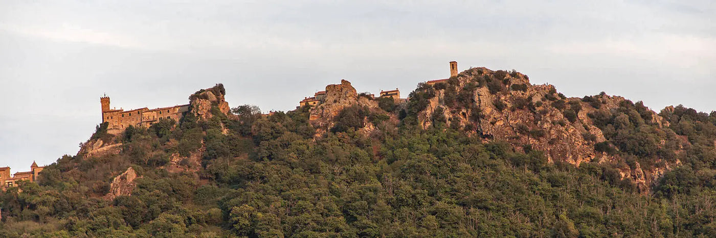 Ampeleia Roccatederighi Ort