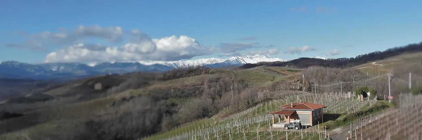 Antoniolo San Franceso Panorama