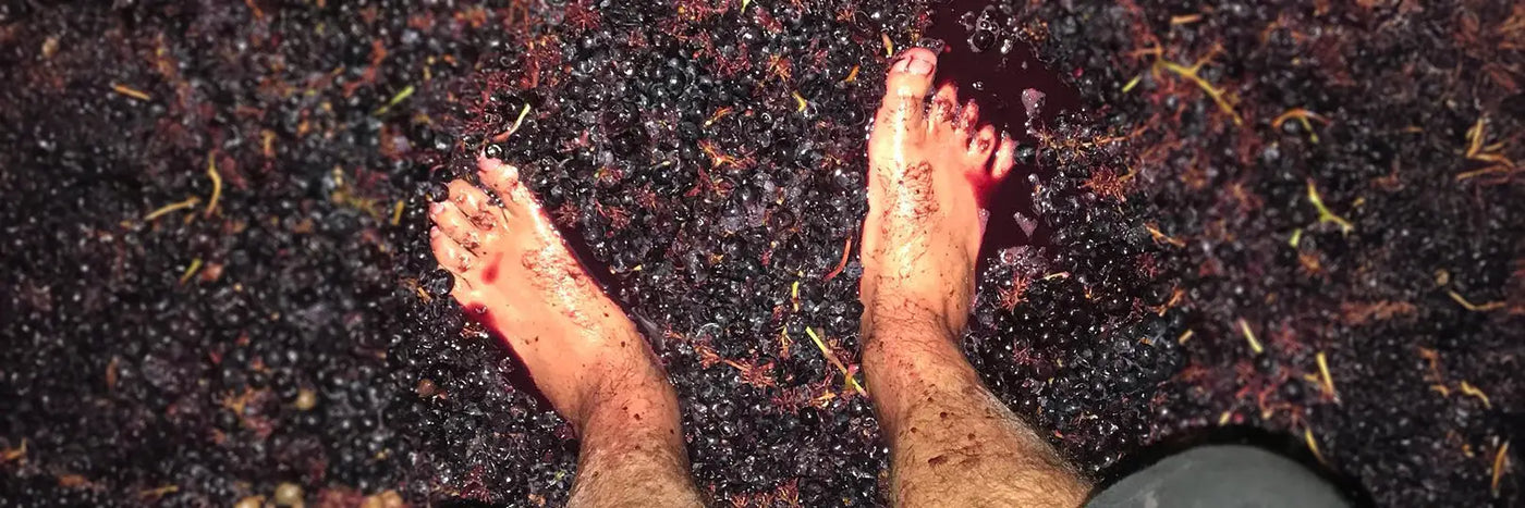 Artuke Maische mit Pies Negros