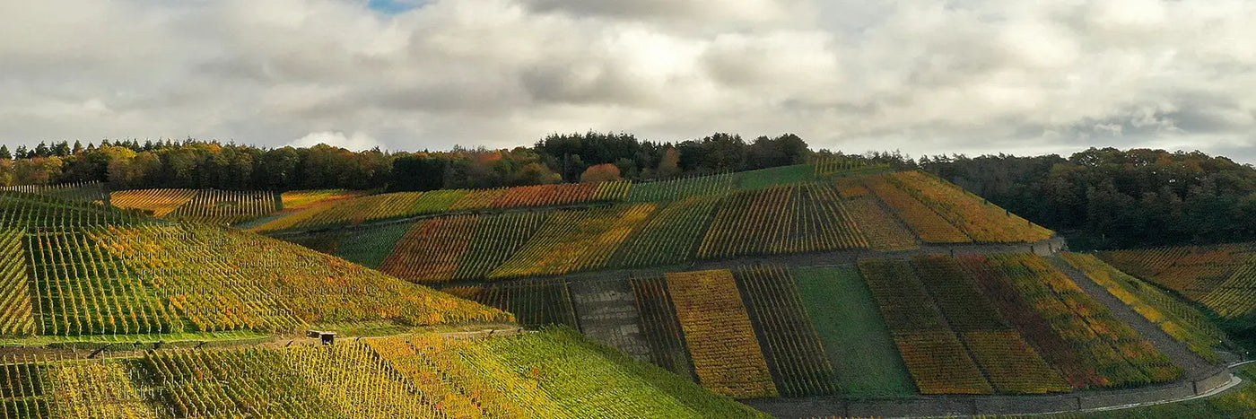 Bertram-Baltes Hardtberg