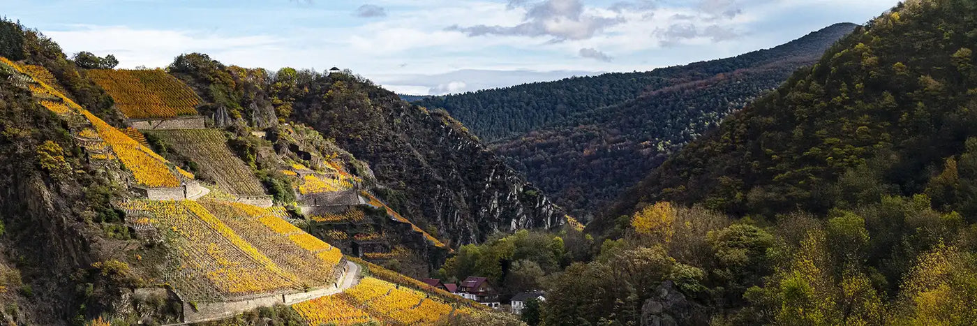 Bertram-Baltes Steillage