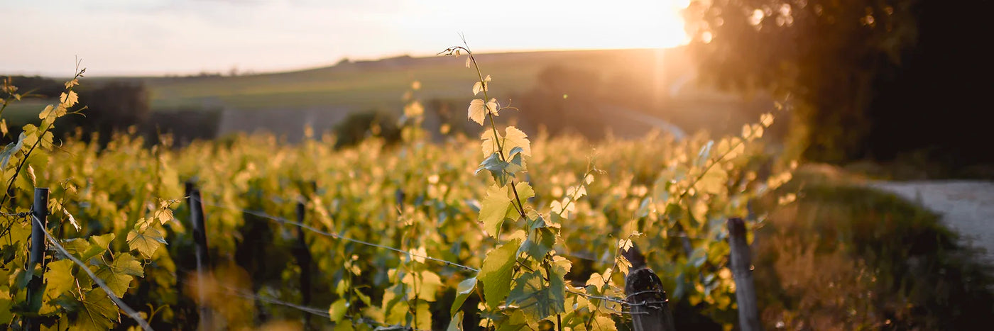 Beru Sonnenuntergang