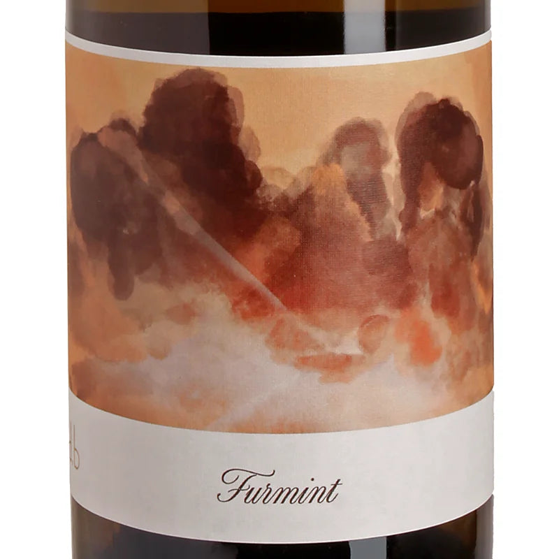 Bianka & Daniel Schmitt Frauenberg Furmint 2023 Label