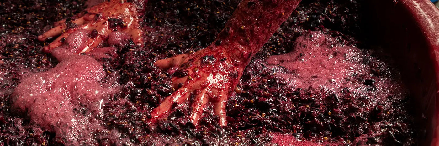 Cinco Leguas Maische und Hände