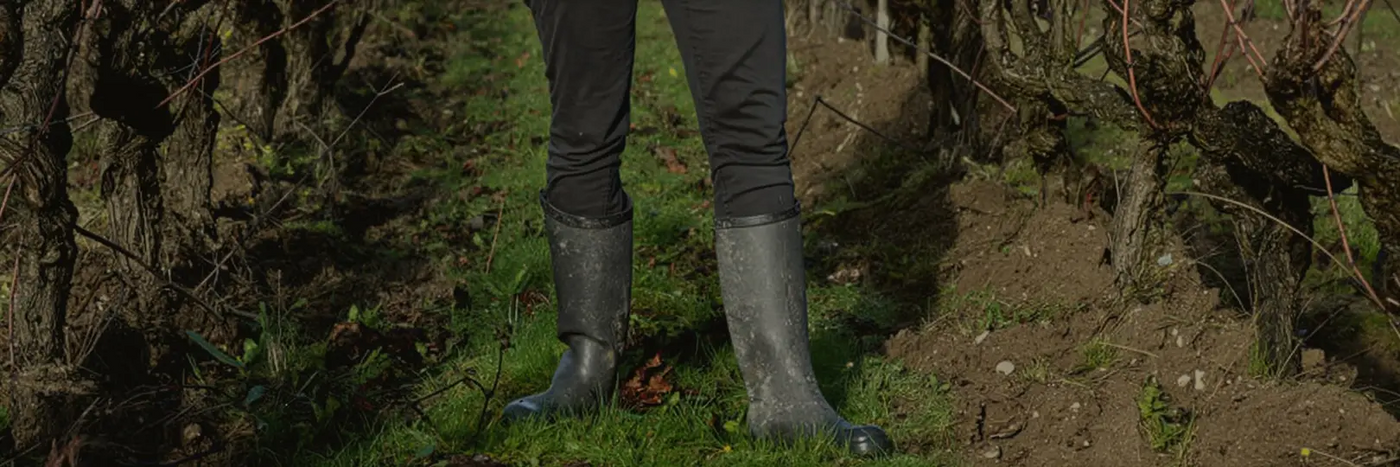 Domaene Vincendeau Boden