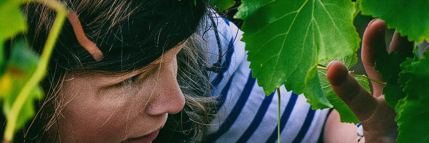 Domaene Vincendeau Liv