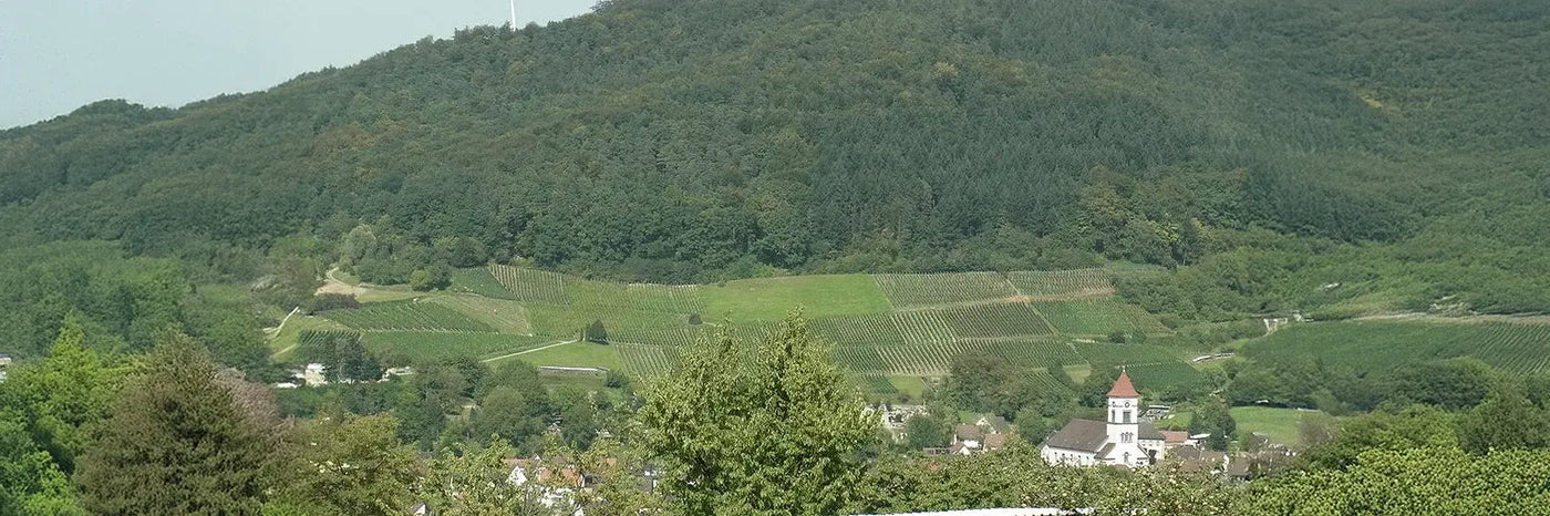 Enderle und Moll Münchweiher