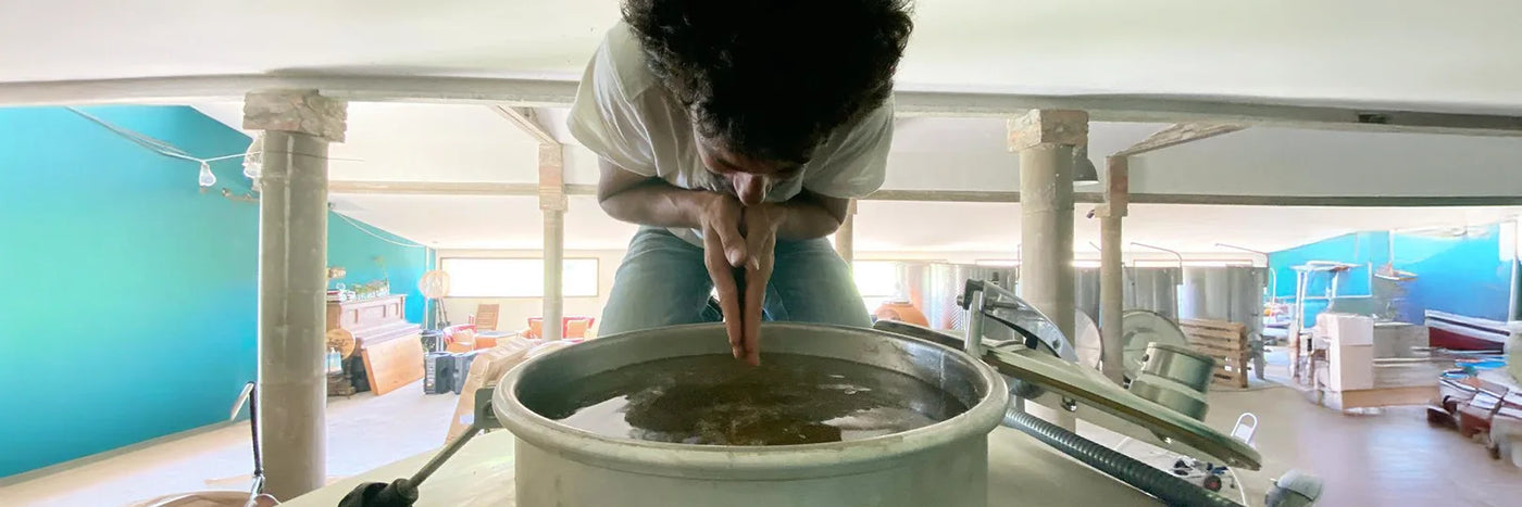 Entre Vinyes Tauchen