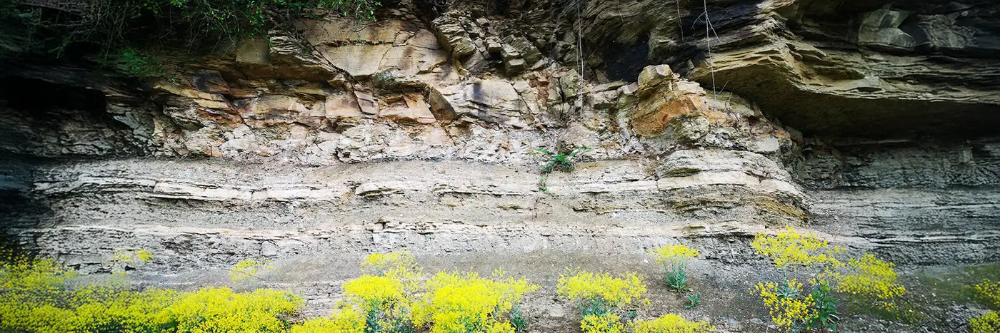 G. A. Heinrich Bodenprofil