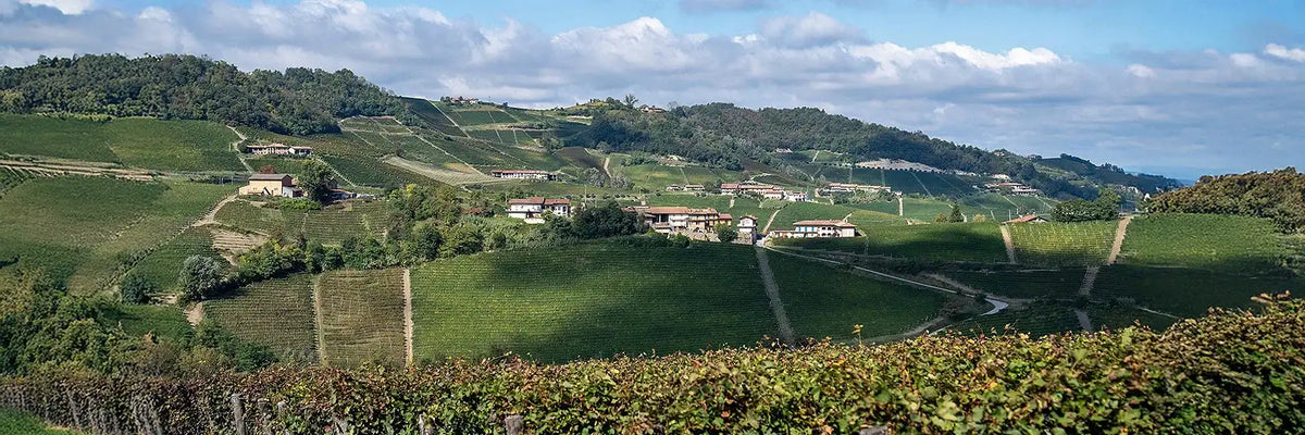 Gagliassi Weinberg