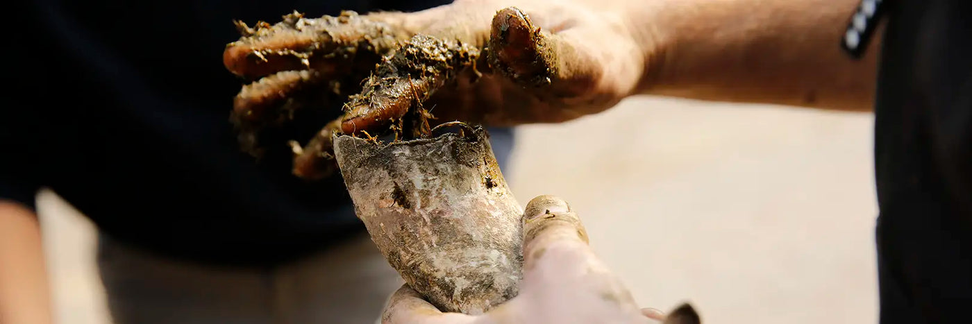 Georg Fusser mit Hornmist