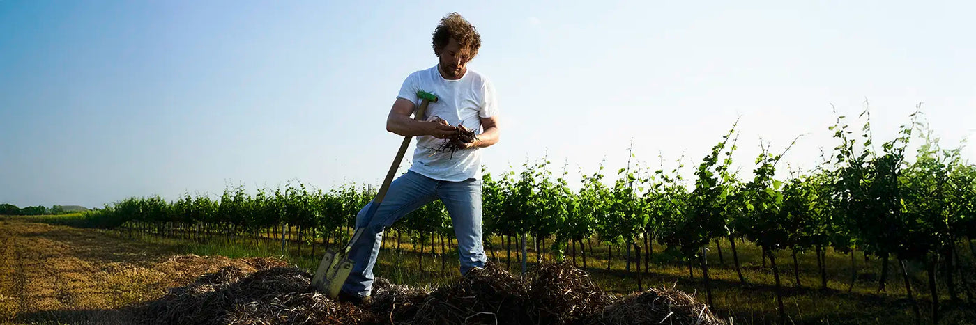 Herbert Zillinger Misthaufen