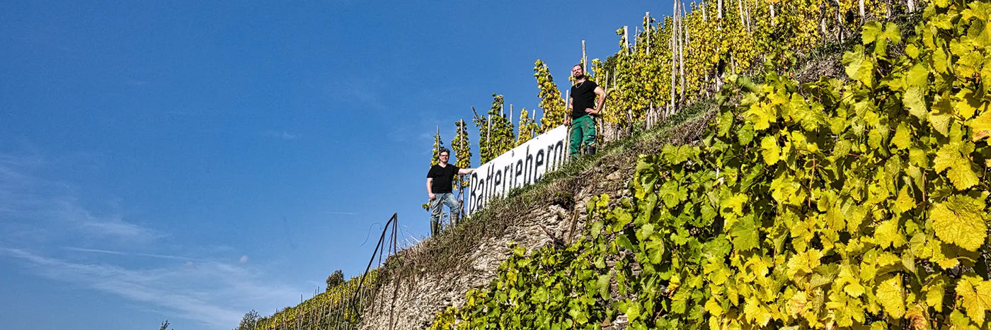 Immich-Batterieberg Gernot im Batterieberg