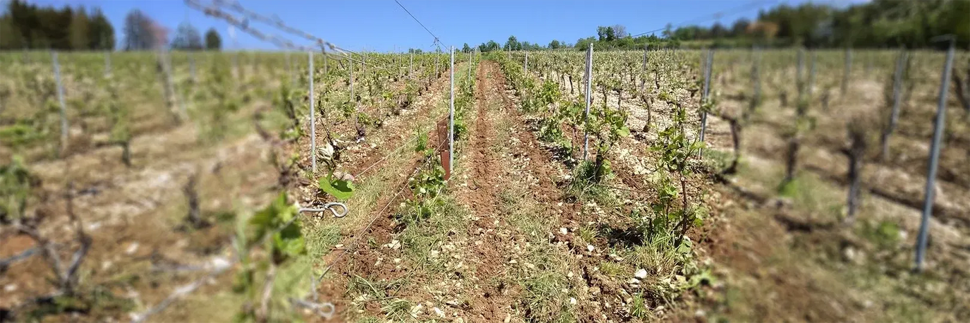 Jeanaux-Robin Kalkboden