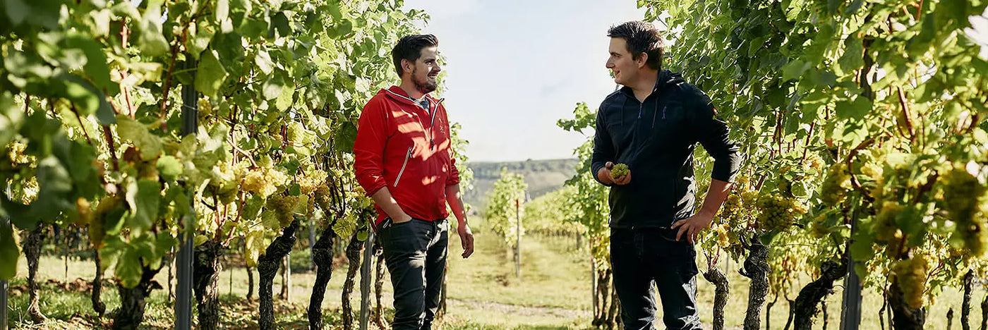 Knewitz Tobias & Björn im Weingarten