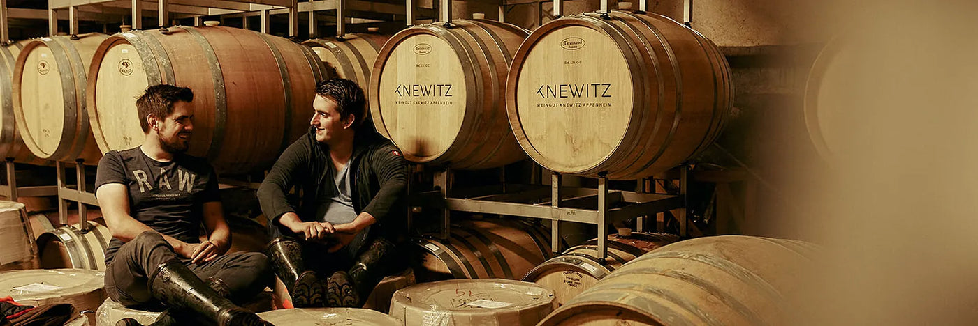 Knewitz Tobias & Björn im Keller