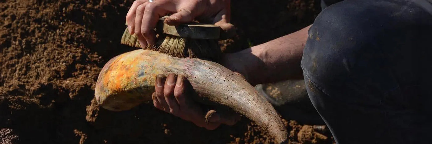 Krisitnus Biodynamie