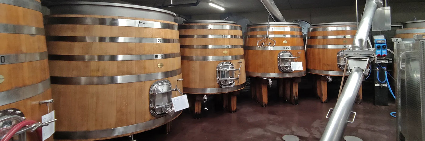 Manincor Gärständer