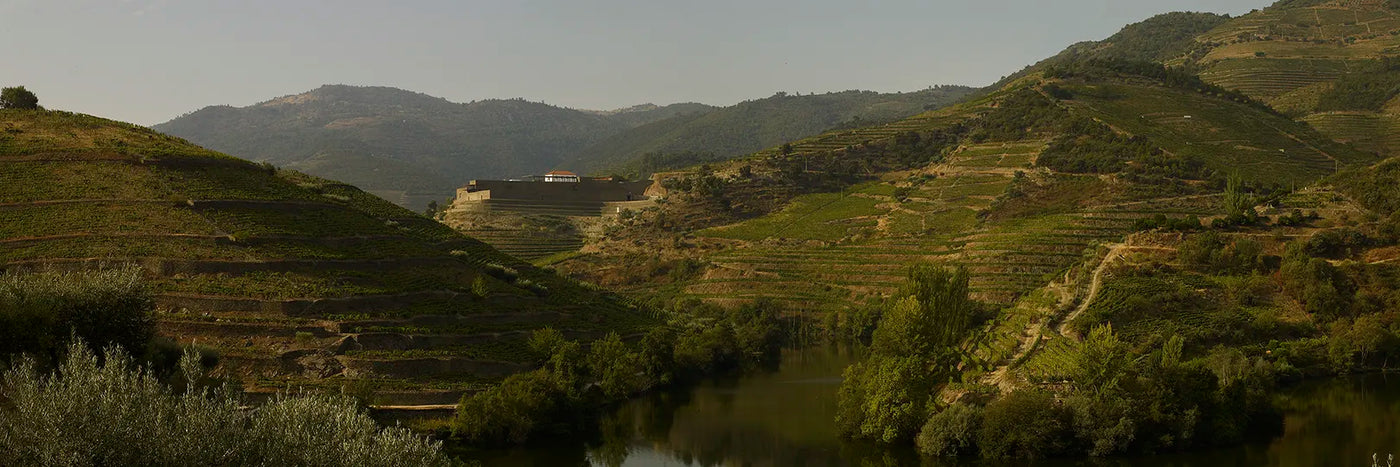 Niepoort Quinta da Napoles