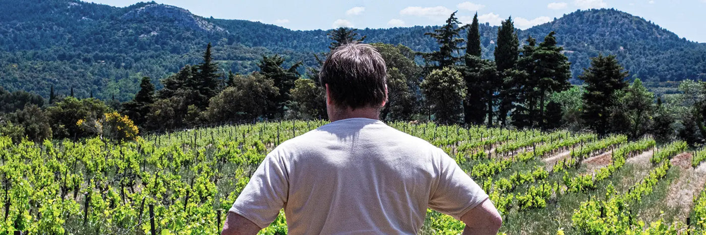 Saint Jean Du Barroux Phil im Weingarten