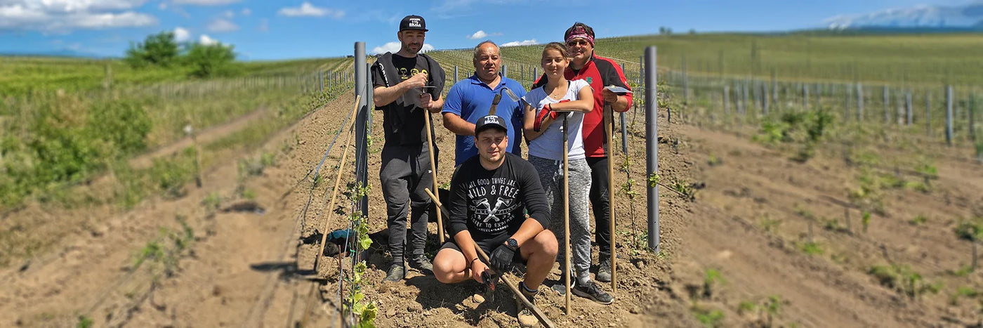 Springer Tomas in der Neuanlage