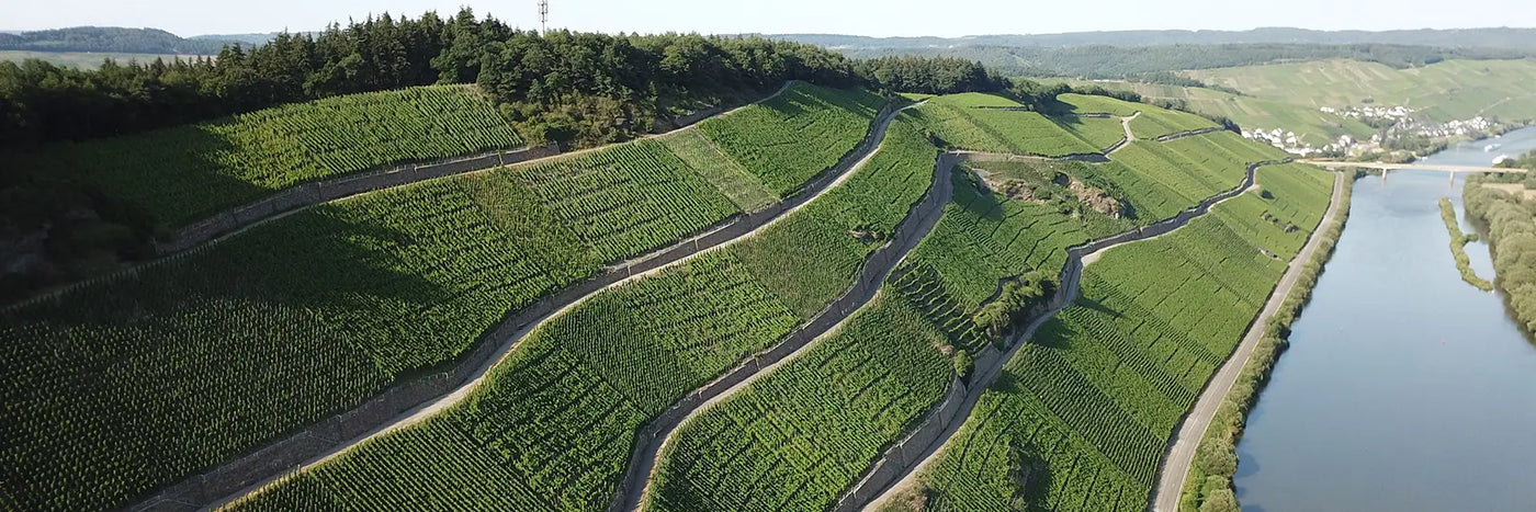 Steinmetz Brauneberger Juffer