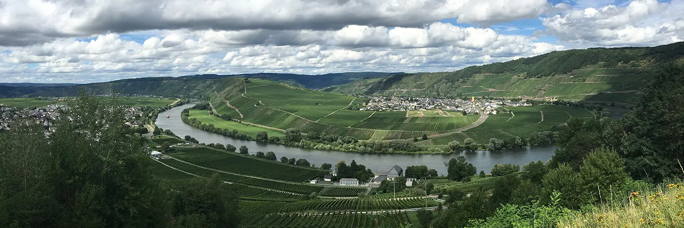 Steinmetz Moselschleife