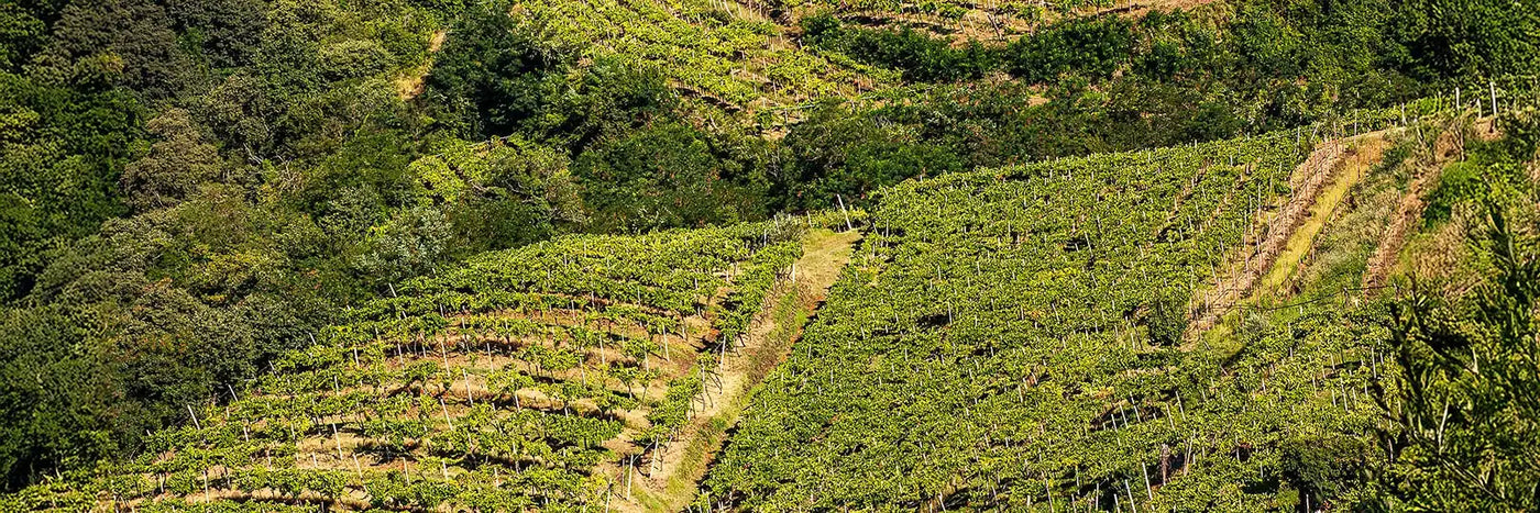 Volcanalia Terrassen