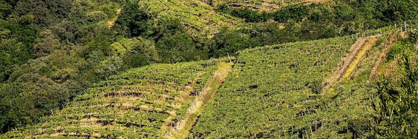 Volcanalia Terrassen