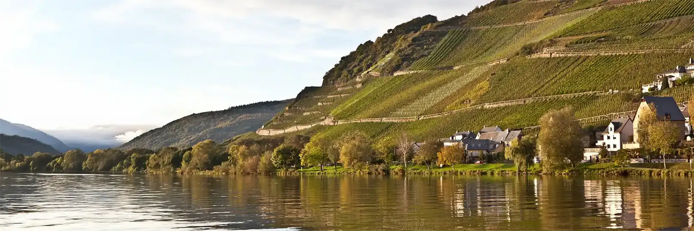 Blick auf die Weinberge