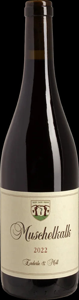 Enderle & Moll Pinot Noir Muschelkalk 2022