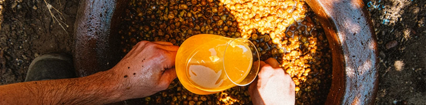Orange Wine