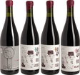 Vino 40/40 - Lucas Pfister Mendoza Fine Wine - Paket