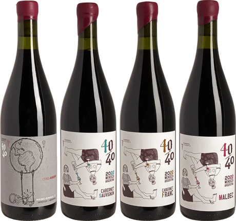 Vino 40/40 - Lucas Pfister Mendoza Fine Wine - Paket