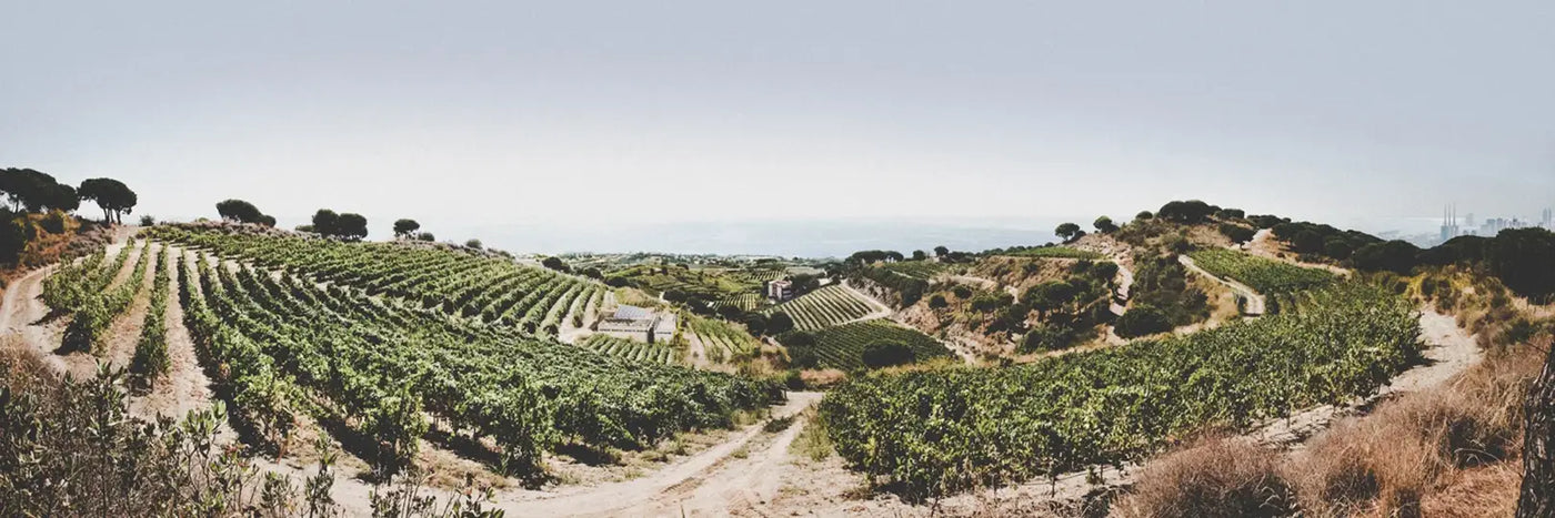 Alta Alella Panorama