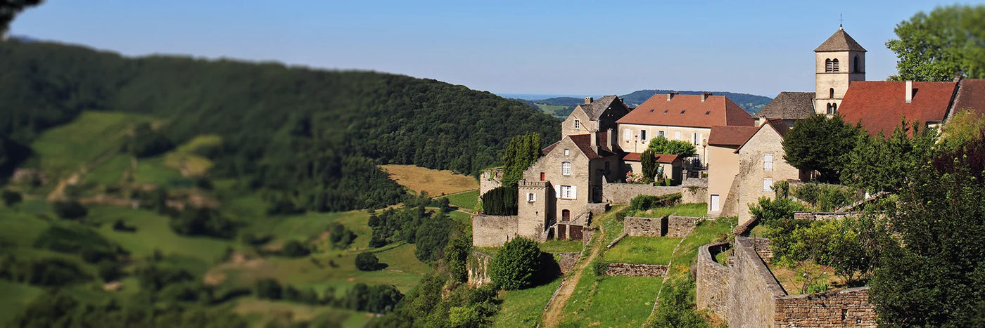 Berthet Bondet Chateau Chalon