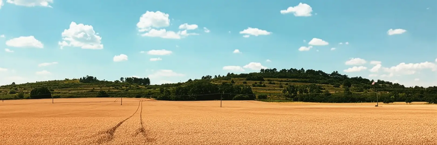 Domaine-M Weinperky