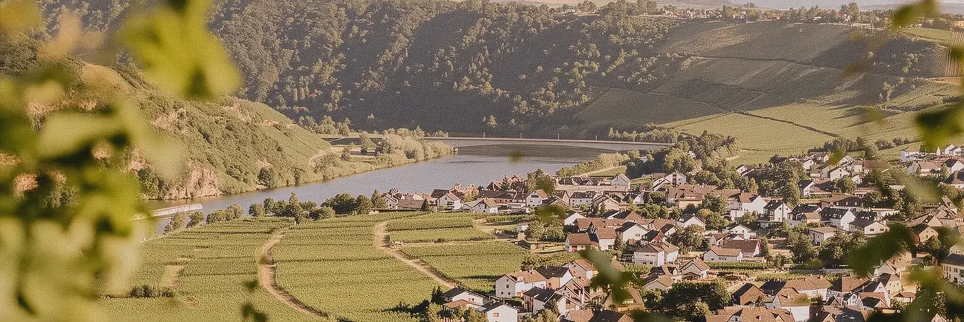 Fio Piesport