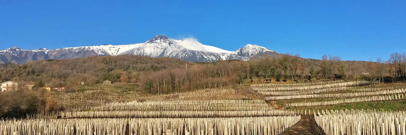 I Vigneri Etna