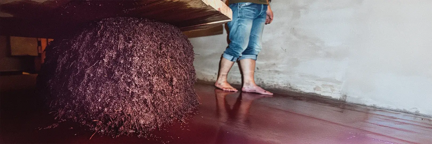 I Vigneri Presse