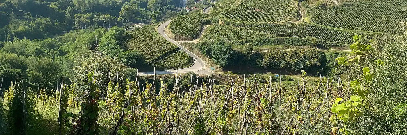 Maison Stéphan Weinberg