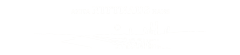 Nittnaus Logo WEISS