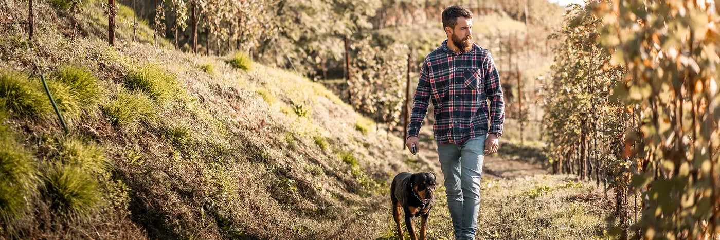 Perlage Nardi junior mit Hund