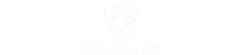 Steinmetz Logo WEISS