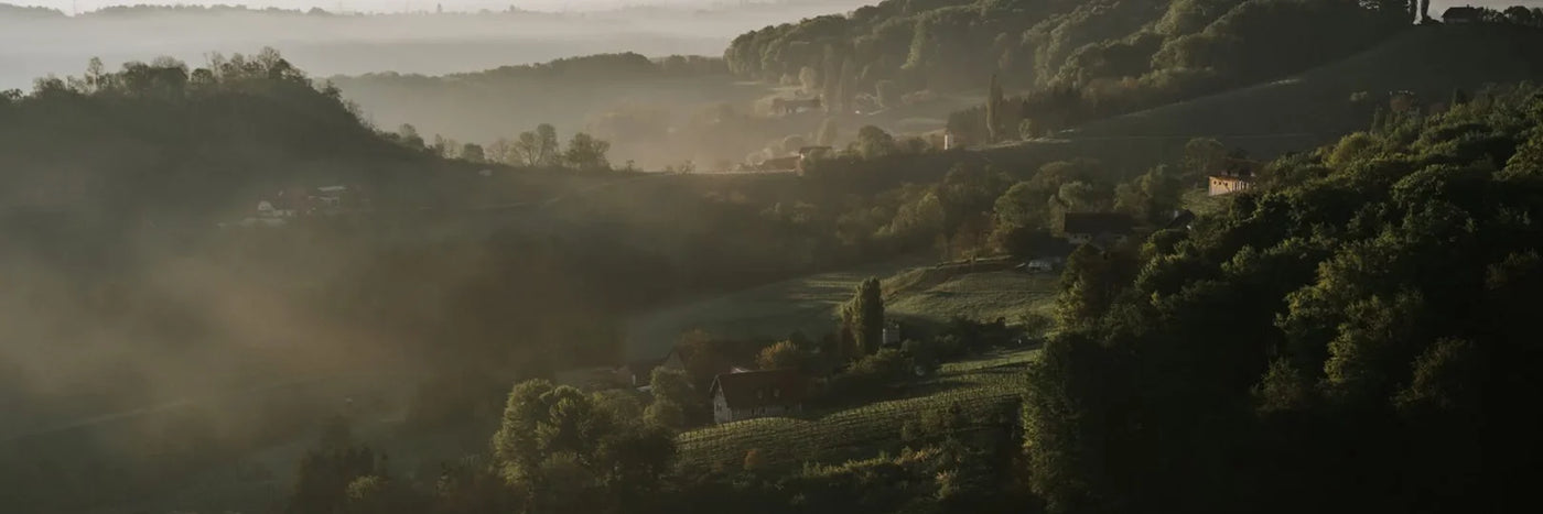 Tement Nebel