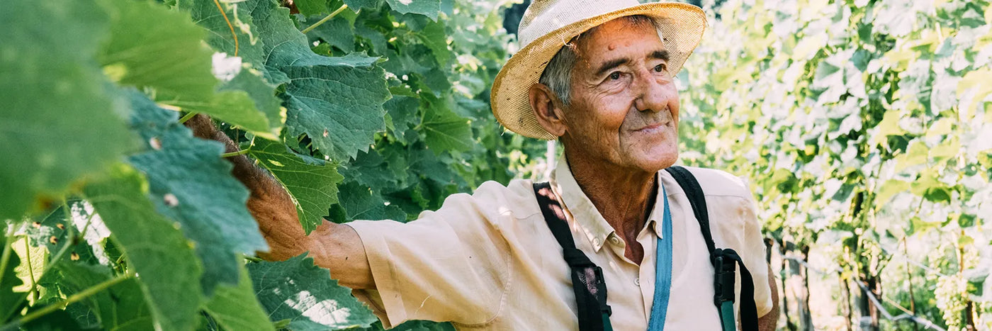 Thomas Niedermayr der Senior
