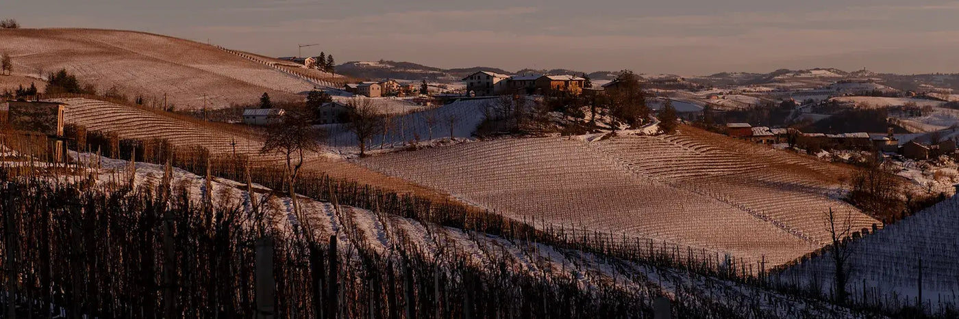 Vietti Brunate Winter