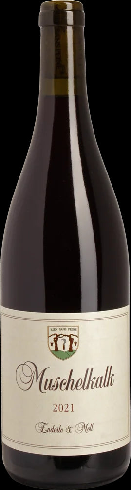 Enderle & Moll Pinot Noir Muschelkalk 2021