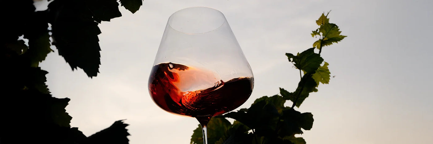 Philipp Reiß Pinotglas
